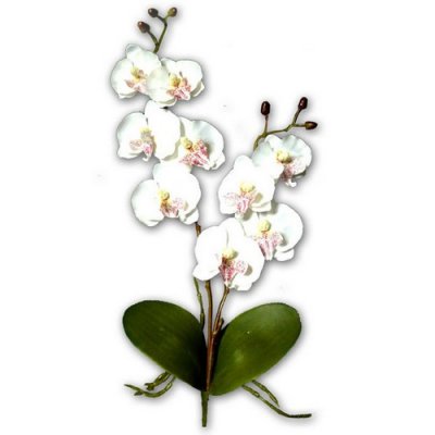 Dcoration de Salle de Mariage  - Decoration de mariage orchide artificielles haut ... : illustration