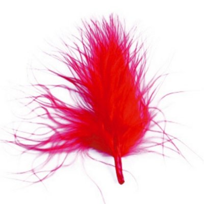 Plumes Dcoration Mariage  - Plumes de Couleur Rouge Dcoration Mariage : illustration