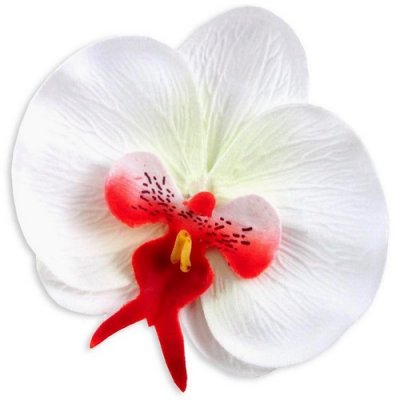 ARCHIVES  - Tête de fleur d'orchidée artificielle rouge et blanc  : illustration