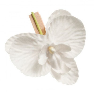 Décoration de Table Mariage  - 8 orchidées Blanches sur clip naturel Déco de table ... : illustration