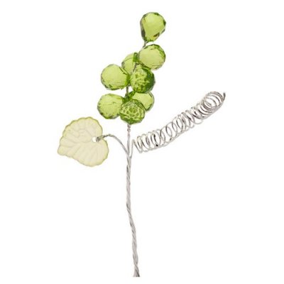 Dcoration de Table Mariage  - 6 grappes de raisin vert anis sur tige  : illustration