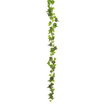 ARCHIVES  - Guirlande de lierre en tissu 1,90 m : illustration
