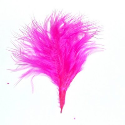 Decoration Mariage  - Plumes de Dcoration Mariage Fuchsia : illustration