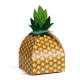 Bote  drages Ananas en carton x5 : illustration