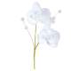 6 fleurs double orchidées royales blanches avec perles : illustration