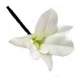 6 Pince Pic-chignon Epingle Cheveux Mariage Orchidée ... : illustration