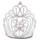 Diademe de Miss serre tete mariage oxydes de zirconium  : illustration