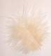 Plumes (Ivoire) Dcoration Mariage  : illustration