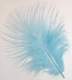 Plumes Dcoration Plume Mariage  (Bleu Baby) x 200 ... : illustration
