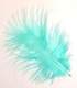 Plumes de dcoration Vert Menthe  : illustration