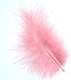 Plumes Dcoration Plume Mariage (Rose Antique) : illustration