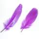 12 Plumes Violettes 10  14 cm Dcoration Mariage : illustration