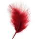 Plumes Dcoration Plume Mariage (Bordeaux) : illustration