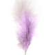 Plumes Lavande Dcoration Mariage : illustration