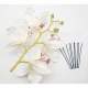 Orchide Blanche sur Branche Accessoire Cheveux Mariage  : illustration