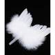 Ailes d'Ange Plumes Blanches Décoration Plumes Mariage : illustration