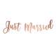 Banderole Lettres Just Married Rose Gold 77 x 20 cm : illustration