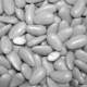 250 Gr Drages amandes avola dauphine 45 % grise : illustration
