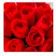 10 roses artificielles rouges en soie : illustration