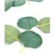 50 confettis de table feuilles d'eucalyptus vert : illustration