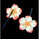 Pinces  cheveux fleur hawaienne polymre blanche ... : illustration