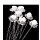 6 pingles pics cheveux mariage rose en resine blanche ... : illustration