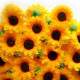 Dco Mariage Fleur Tournesol Dcoration (lot de 10)  : illustration