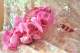 Orchides rose fushia  Decoration de mariage : illustration