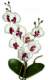 Orchides pour votre deco de table mariage : illustration