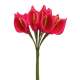 Fleur Mariage - 12 petites Arum sur tige - rouge  : illustration