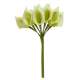 Fleur Mariage - 12 petites Arum sur tige - vert anis : illustration