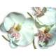 Decoration de mariage orchidée artificielles haut ... : illustration