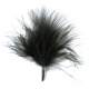 Plumes Noire Dcoration Mariage  : illustration