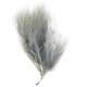 Plumes grises (sachet de 20 pices) : illustration