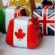 Bote  Drages Mtal Valise Canada ( Lot de 5 ) : illustration