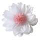 2 fleurs en papier de soie blanc et rose : illustration