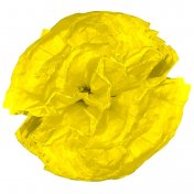 10 pompons fleurs en papier de soie Jaune