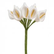 12 petits Arum sur tige blanc
