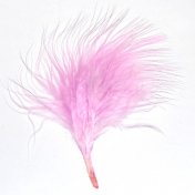 Sachet de 20 Plumes Parme Clair